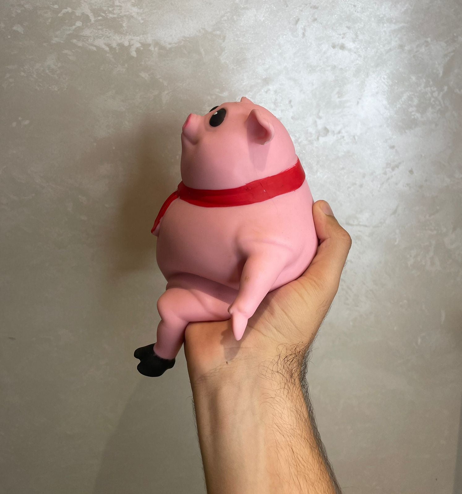 Jimmy The Piggy 